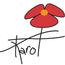 Karo T design Logo 